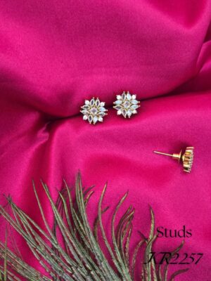 WhatsApp Image 2026-03-10 at 7.46.57 PM KR016ES